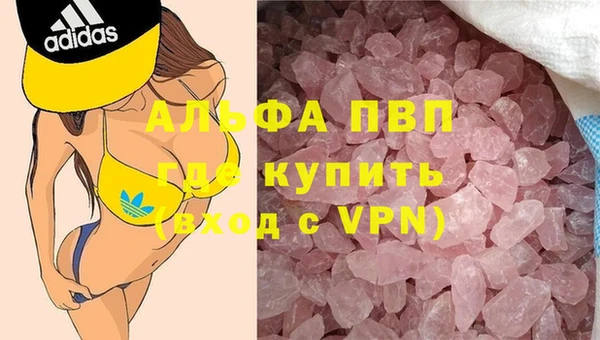 дмт Нея