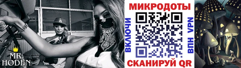 Галлюциногенные грибы прущие грибы  Купить  Усть-Джегута 
