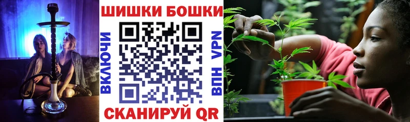 Бошки Шишки семена Купить закладки Усть-Джегута
